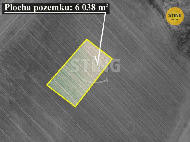 Prodej pole, Sadová, 6038 m2