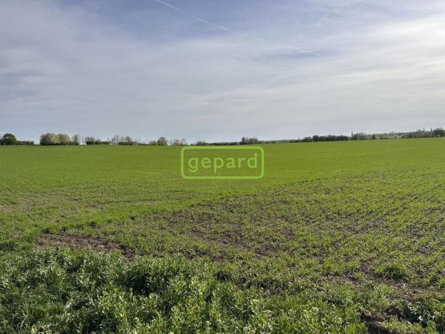 Prodej pole, Brno - Tuřany, 5446 m2