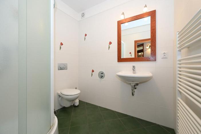 Pronájem rodinného domu, Světice, Na Spojce, 320 m2