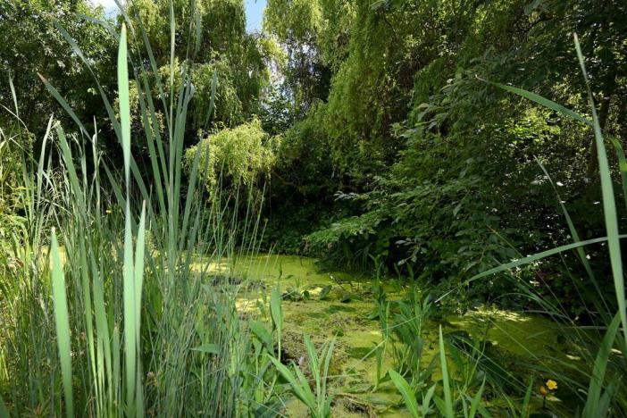 Pronájem rodinného domu, Světice, Na Spojce, 320 m2