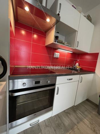 Pronájem bytu 1+kk, České Budějovice - České Budějovice 3, Jírovcova, 30 m2