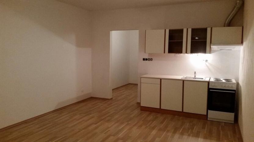 Pronájem bytu 1+kk, Tábor, Nad Řekou, 32 m2