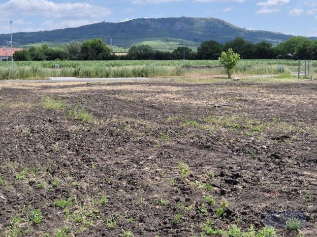 Prodej pozemku pro bydlení, Dolní Dunajovice, Pálavská, 619 m2