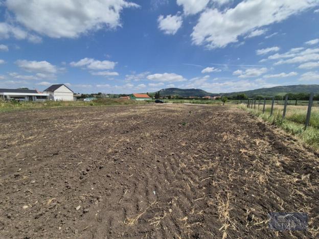 Prodej pozemku pro bydlení, Dolní Dunajovice, Pálavská, 1250 m2