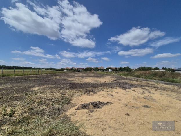 Prodej pozemku pro bydlení, Dolní Dunajovice, Pálavská, 1250 m2