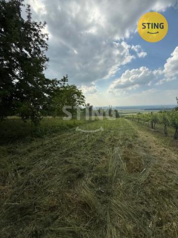 Prodej zahrady, Strážnice, 3628 m2