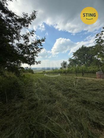 Prodej zahrady, Strážnice, 3628 m2