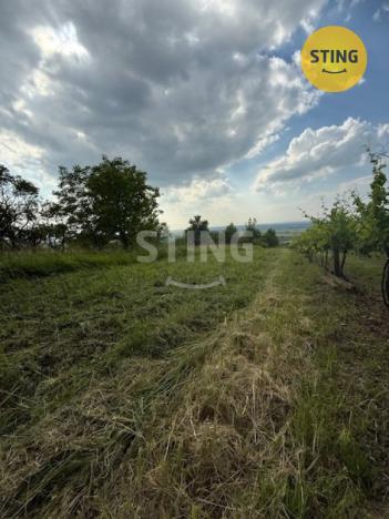 Prodej zahrady, Strážnice, 3628 m2