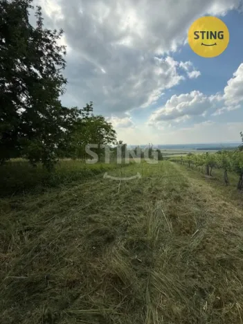Prodej zahrady, Strážnice, 3628 m2
