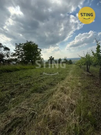 Prodej zahrady, Strážnice, 3628 m2