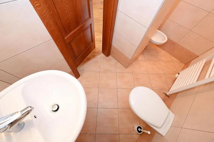 Pronájem rodinného domu, Světice, Na Spojce, 320 m2