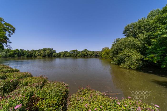 Prodej pozemku pro bydlení, Vestec, Čechova, 1239 m2