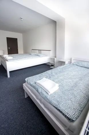 Prodej rodinného domu, Most, 312 m2