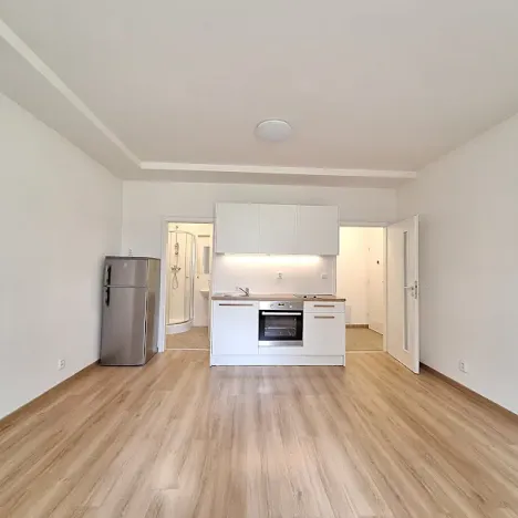 Pronájem bytu 1+kk, Praha - Bubeneč, U zeměpisného ústavu, 26 m2
