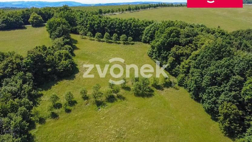 Prodej louky, Vizovice, Těchlov, 7426 m2