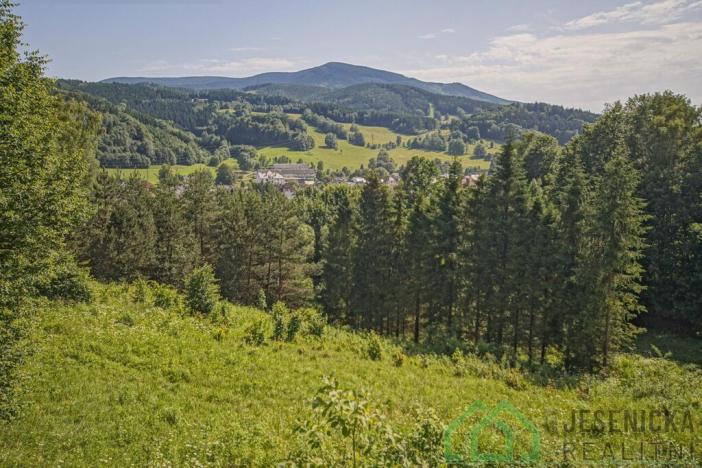 Prodej pole, Lipová-lázně, 12392 m2