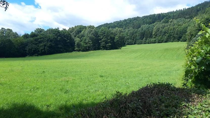 Prodej pozemku pro bydlení, Loučná nad Desnou, 34787 m2
