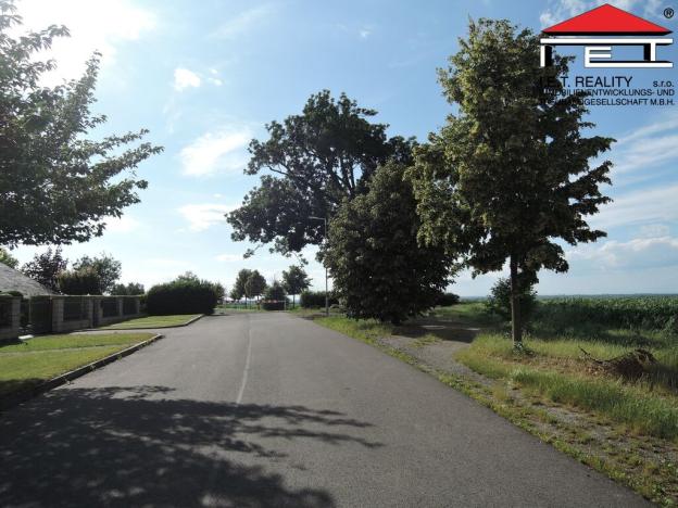 Prodej rodinného domu, Křenice, Silnička, 244 m2