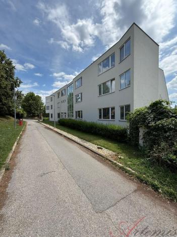 Prodej bytu 2+kk, Brno - Pisárky, Vinařská, 147 m2
