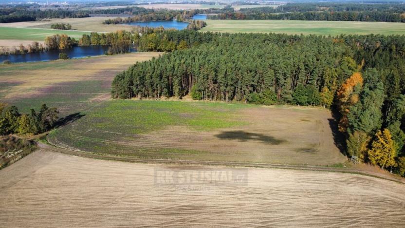 Prodej pole, Řípec, 49992 m2