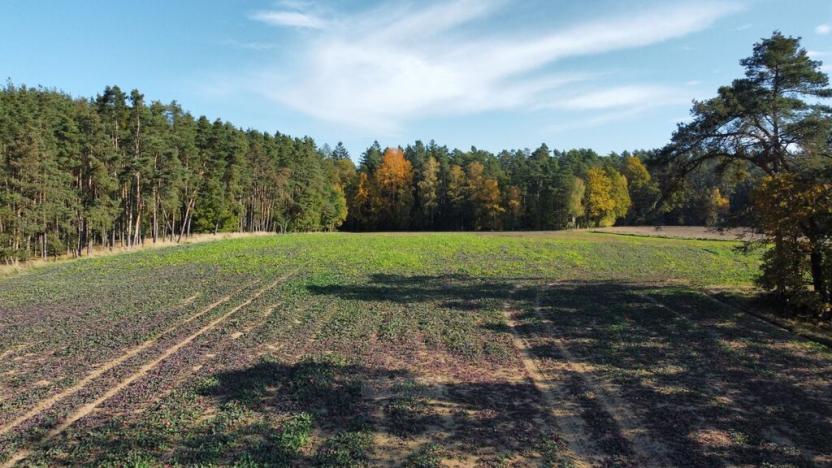 Prodej pole, Řípec, 49992 m2