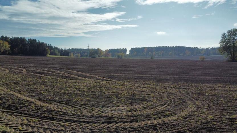 Prodej pole, Řípec, 49992 m2