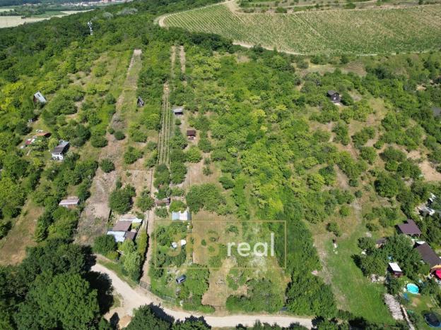 Prodej zahrady, Pouzdřany, 1698 m2