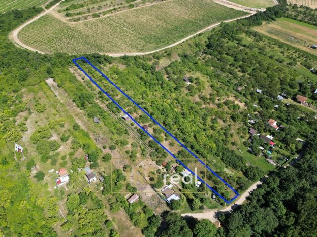 Prodej zahrady, Pouzdřany, 1698 m2