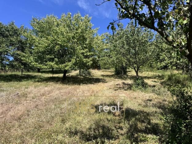 Prodej zahrady, Pouzdřany, 1698 m2