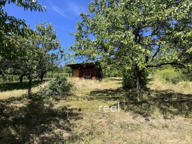 Prodej zahrady, Pouzdřany, 1698 m2