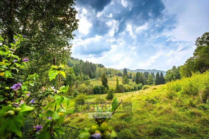 Prodej rodinného domu, Rožmitál na Šumavě, 600 m2