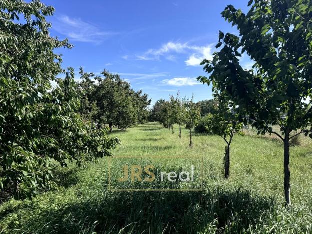 Prodej pozemku pro bydlení, Šakvice, 3491 m2