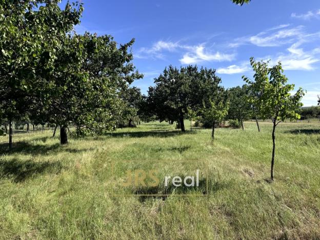 Prodej pozemku pro bydlení, Šakvice, 3491 m2