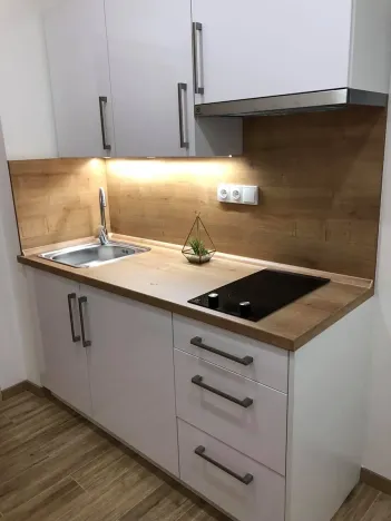 Pronájem bytu 1+kk, Zlín, Vejvanovská, 20 m2