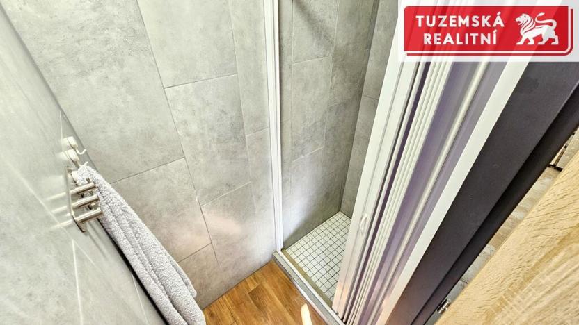 Pronájem výrobních prostor, Šternberk, Závodní, 145 m2