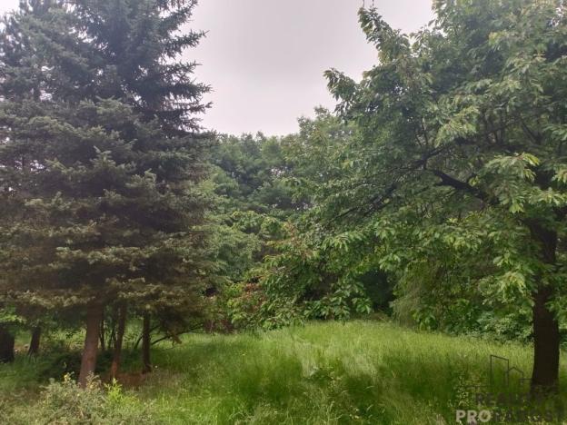 Prodej chaty, Velké Chvojno - Žďár, 36 m2