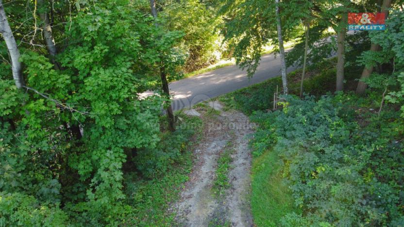 Prodej pozemku pro bydlení, Chotěvice, 3868 m2