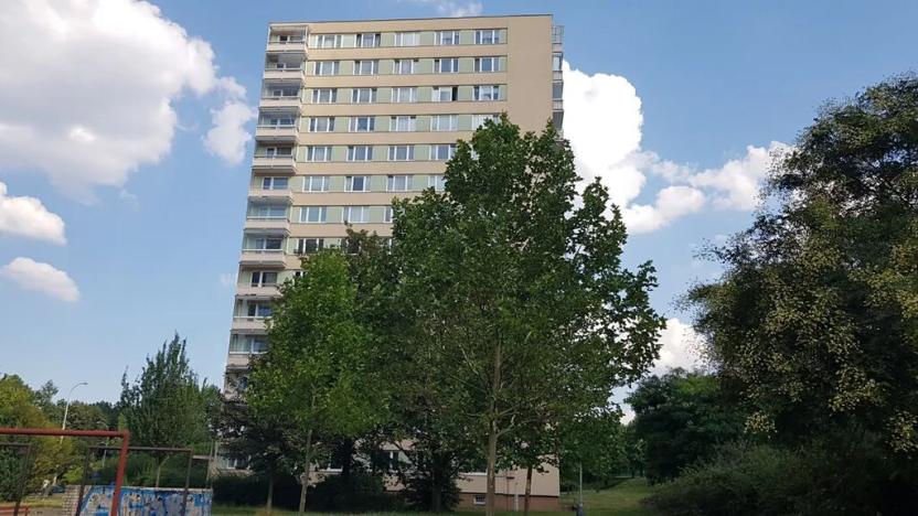 Pronájem bytu 1+kk, Praha - Braník, Nad lesním divadlem, 29 m2