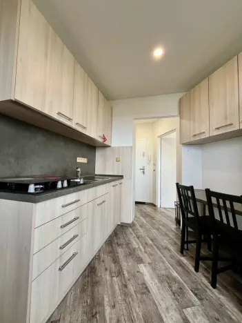 Pronájem bytu 2+1, Ostrava - Hrabůvka, Horní, 43 m2