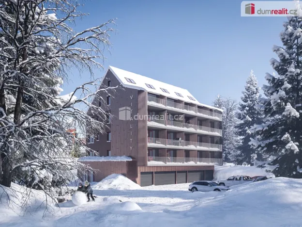 Pronájem bytu 1+1, Harrachov - Nový Svět, 43 m2