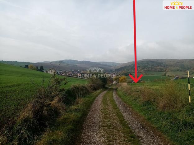 Prodej pozemku pro bydlení, Trubín, Na Višňovce, 1255 m2