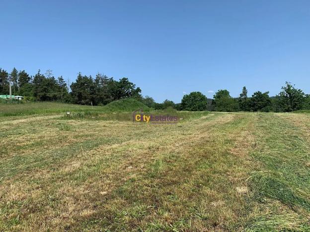 Prodej pozemku pro bydlení, Dublovice, 4428 m2