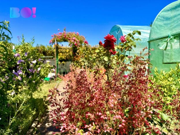 Prodej zahrady, Karviná, 163 m2