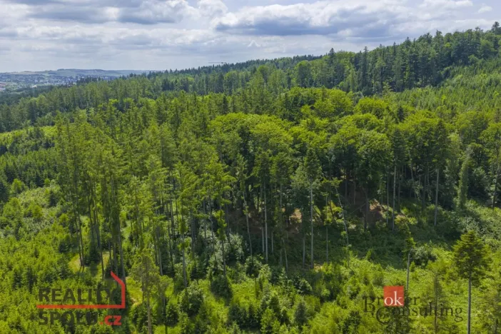 Prodej pozemku pro bydlení, Jihlava - Zborná, 704 m2