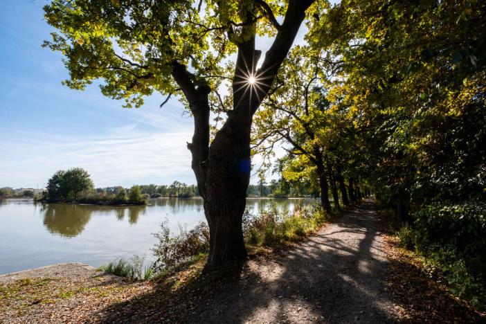 Prodej bytu 2+kk, České Budějovice, M. Horákové, 68 m2