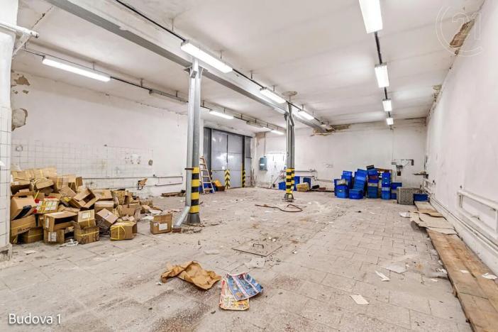 Pronájem komerční nemovitosti, Děčín, Rudolfova, 5199 m2