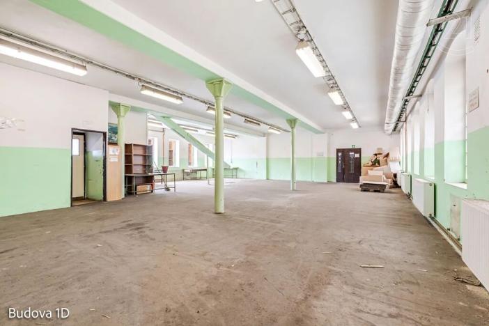 Pronájem komerční nemovitosti, Děčín, Rudolfova, 5199 m2