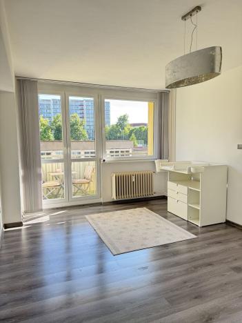 Pronájem bytu 3+kk, Mladá Boleslav - Mladá Boleslav II, Purkyňova, 64 m2
