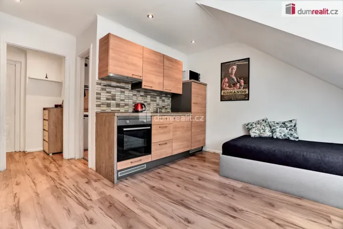 Prodej bytu 1+kk, Karlovy Vary, Moskevská, 24 m2