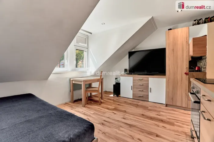 Prodej bytu 1+kk, Karlovy Vary, Moskevská, 24 m2